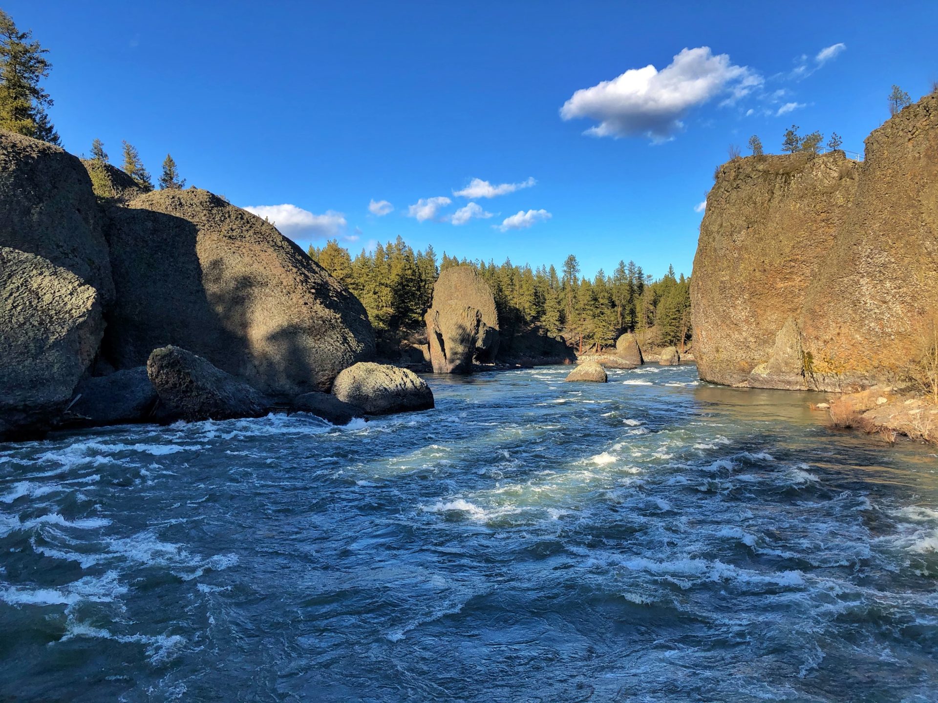 Spokane River. Rocks and trees and flowing river.